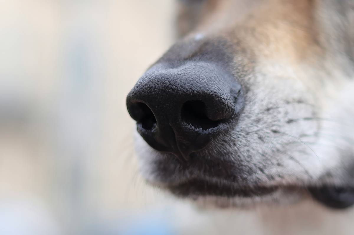 woman practicing pure respiration technique with calm posture and nasal breathing focus