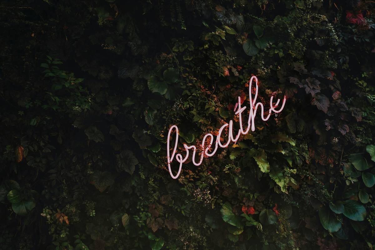pure respiration: the overlooked key to nervous system reset